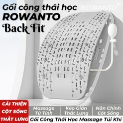 Hình ảnh gối lưng công thái học Rowanto BackFit