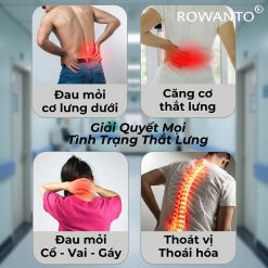 Ưu điểm của gối lưng công thái học Rowanto BackFit